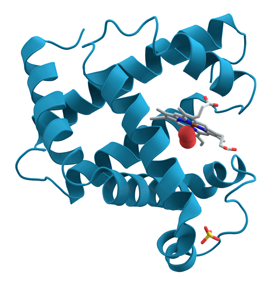 Proteomics